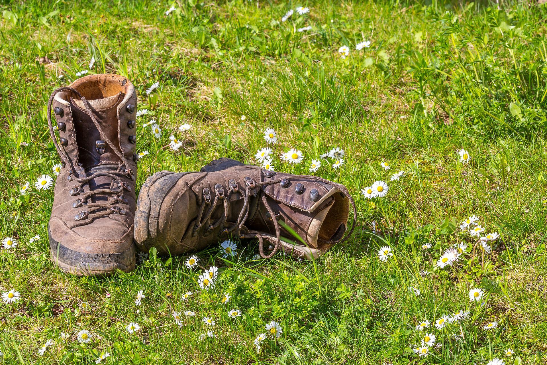 Wandelschoenen in gras