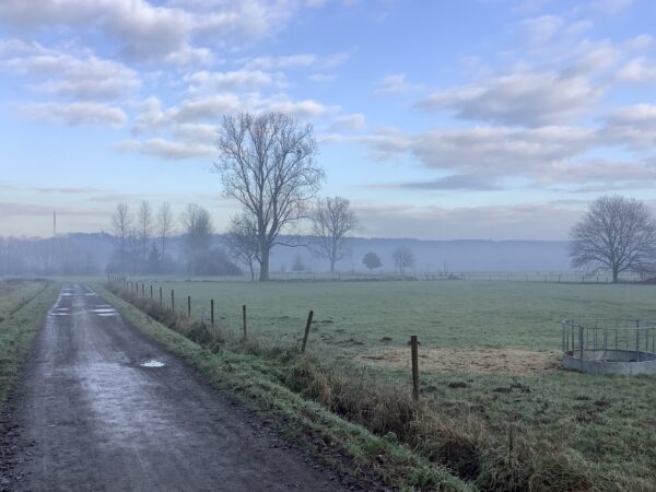 Demerbroeken in Langdorp