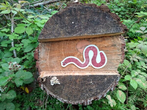 worm afgebeeld op houten stamblok